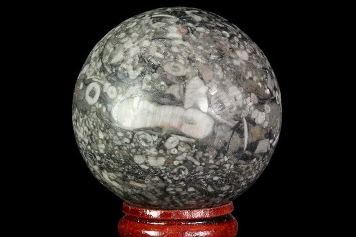 Polished Fossil Crinoid Stems In Limestone Sphere - China #71539